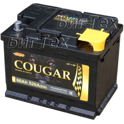 Аккумулятор автомобильный Cougar 60 Ач 560А пр. пол. Аккумулятор автомобильный Cougar 60 Ач 560А пр. пол.
