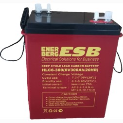 Аккумулятор тяговый ESB HLC6-300 GEL CARBON 300 Ач (6 Вольт)