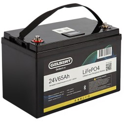 Аккумулятор литиевый тяговый GELBERT LiFePO4 65Ah 24V