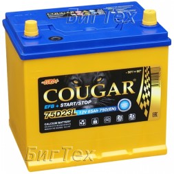 Аккумулятор автомобильный Cougar EFB ASIA 65 Ач