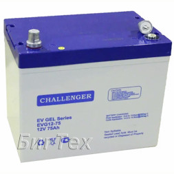 Аккумулятор тяговый Challenger EVG12-75, 79Ah