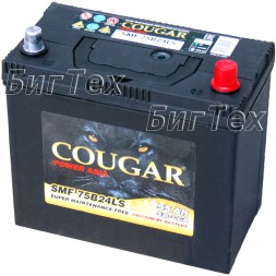 Аккумулятор автомобильный Cougar 75B24LS 55 Ач Аккумулятор автомобильный Cougar 75B24LS 55 Ач