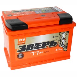 Аккумулятор автомобильный Зверь EFB 77Ач 780A обр. пол. Аккумулятор автомобильный Зверь EFB 77Ач 780A обр. пол.
