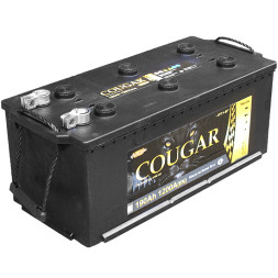 Аккумулятор COUGAR 6ст-190 (под болт) Аккумулятор COUGAR 6ст-190 (под болт)