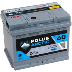 Аккумулятор автомобильный POLUS ARCTIC 60Ач 560А пр. пол. Аккумулятор автомобильный POLUS ARCTIC 60Ач 560А пр. пол.