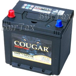 Аккумулятор автомобильный COUGAR SMF 80D23AR 62Ач 650A (низкий 205мм) Аккумулятор автомобильный COUGAR SMF 80D23AR 62Ач 650A (низкий 205мм)